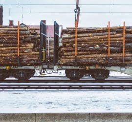 The Log Tax Is Harming Both Americans and Canadians