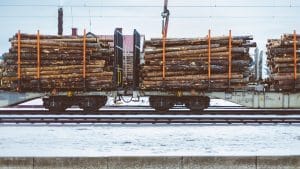 The Log Tax Is Harming Both Americans and Canadians