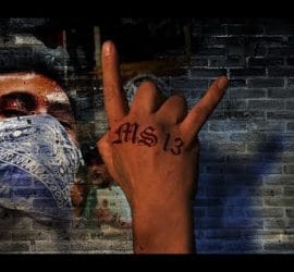 MS-13 - FULL MEASURE with Sharyl Attkisson