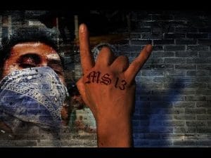 MS-13 - FULL MEASURE with Sharyl Attkisson