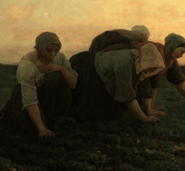 Our Ancestors Escaped Crippling Poverty Because of Capitalism
