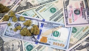 California (Hopefully) Learns a Lesson about Marijuana Taxes and the Laffer Curve