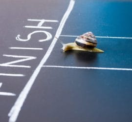 The Fed Has Initiated 'Operation SNAIL'