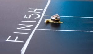The Fed Has Initiated 'Operation SNAIL'