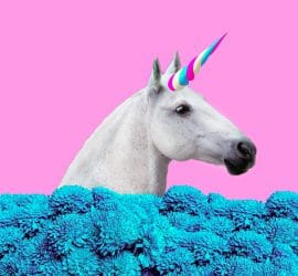 How Should We Think About Public Policy Proposals? Government-By-Unicorn