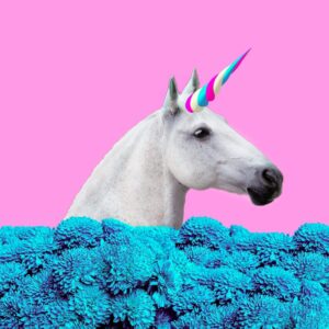 How Should We Think About Public Policy Proposals? Government-By-Unicorn