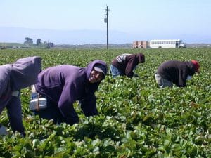 Schrodinger's Immigrant: How Can Immigrants Steal Jobs if They're "Too Lazy to Work"?