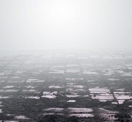 The Depression You've Never Heard Of: 1920-1921